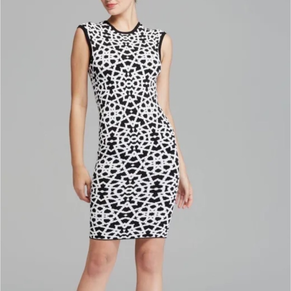 Torn by Ronny Kobo (Small) Black & White Patterned Body-con Sweater Mini Dress